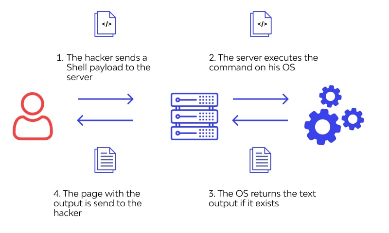 OS Command Injection Vulnerability